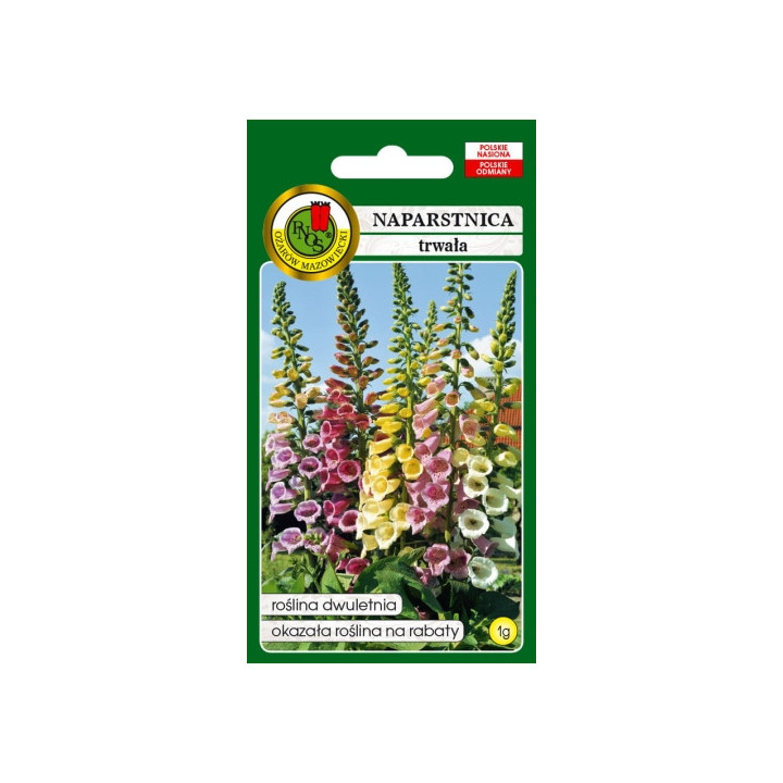 NAPARSTNICA TRWAŁA GLOXINIAEFLORA MIESZANA 1g