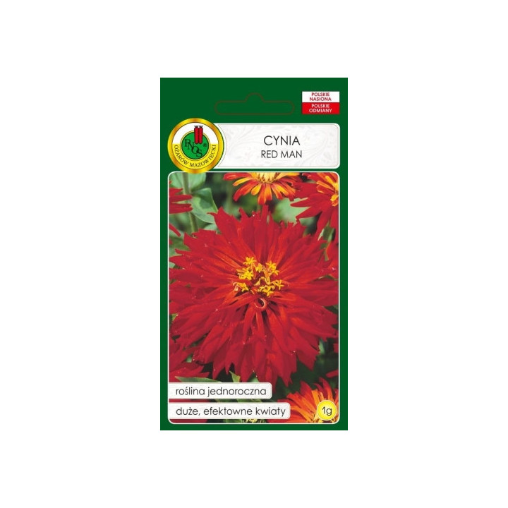 CYNIA CHRYZANTEMOWA RED MAN CZERWONA 1g