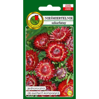 NIEŚMIERTELNIK SZKARŁATNY 1,5g