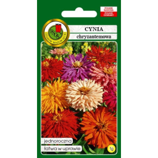 CYNIA CHRYZANTEMOWA GLAMOUR GIRLS MIESZANA 1g