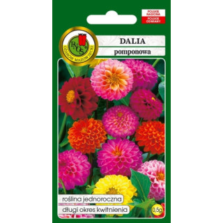 DALIA POMPONOWA MIESZANA 0,5g