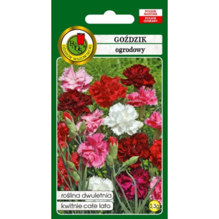 GOŹDZIK OGRODOWY GRENADIN MIESZANY 0,3g