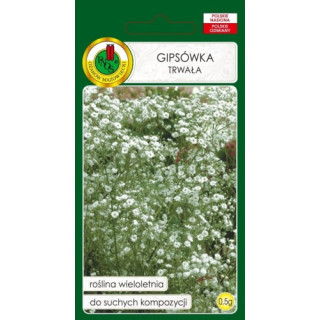 GIPSÓWKA TRWAŁA BIAŁA 0,5g
