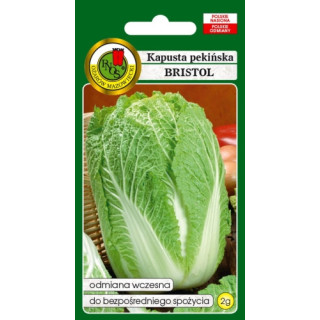 KAPUSTA PEKIŃSKA BRISTOL 2g