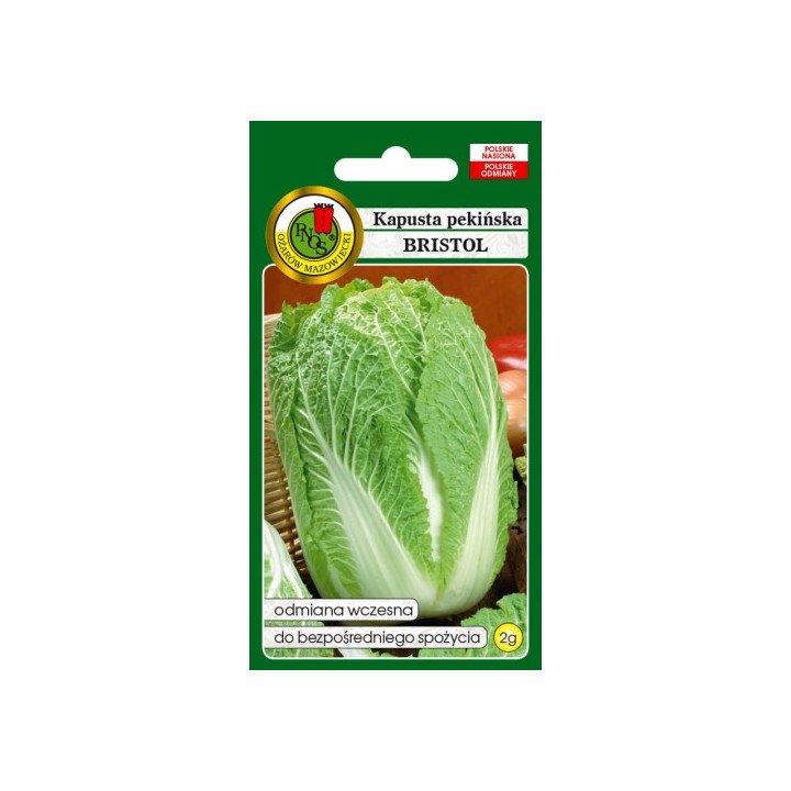 KAPUSTA PEKIŃSKA BRISTOL 2g