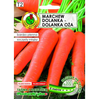 MARCHEW JADALNA DOLANKA-DOLANKA OŻA Z NAWOZEM 6m