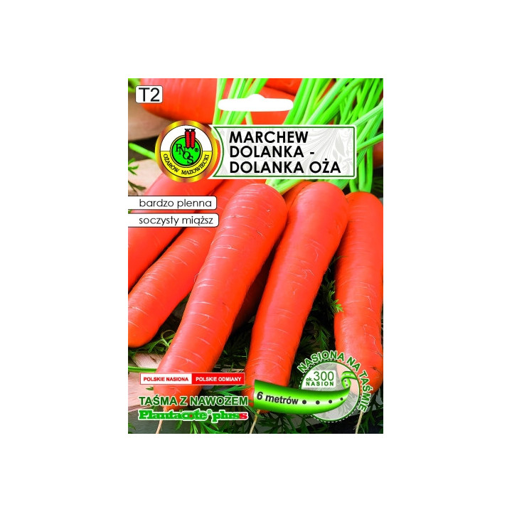 MARCHEW JADALNA DOLANKA-DOLANKA OŻA Z NAWOZEM 6m