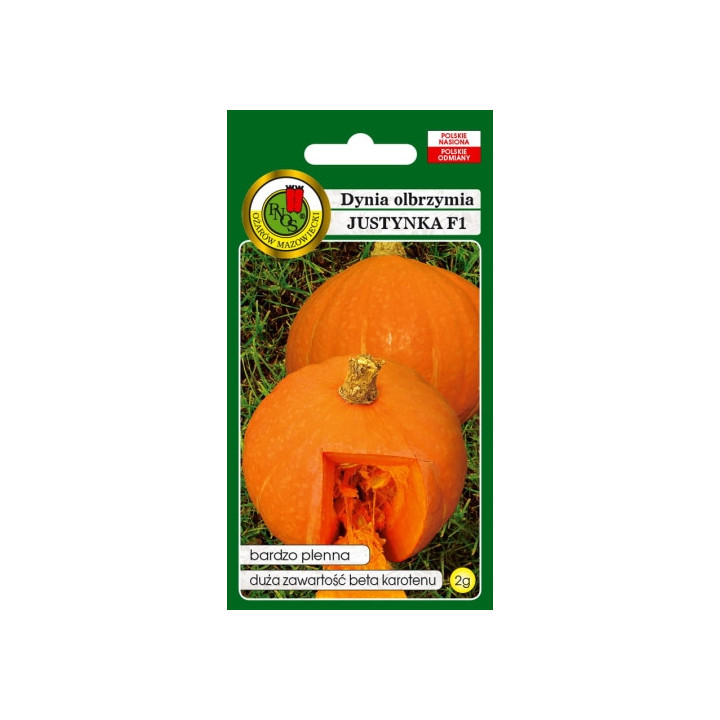 DYNIA OLBRZYMIA JUSTYNKA F1 2g