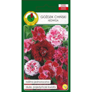 GOŹDZIK HEDWIGA  BABY DOLL MIESZANY 1g