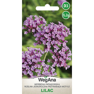 Werbena patagońska Lilac 0,2g