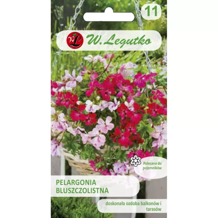 PELARGONIA MIX SPEEDY 5z BLUSZCZOLISTNA