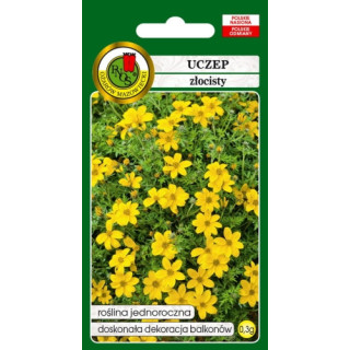 Uczep złocisty 0,3g