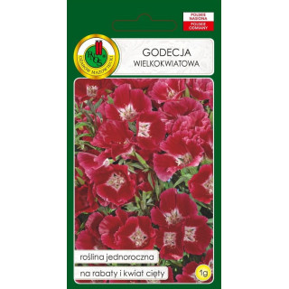 Godecja wielkokwiatowa czerwona 1g