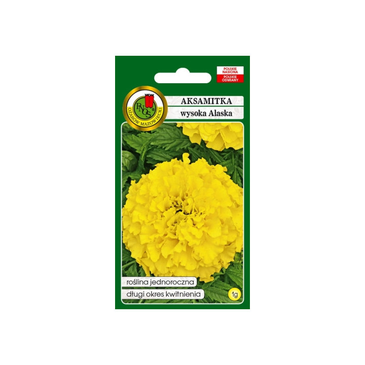 AKSAMITKA PEŁNA WYSOKA ALASKA 1g JASNOCYTRYNOWA