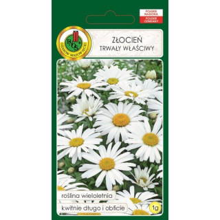 ZŁOCIEŃ WŁAŚCIWY BIAŁY 1g