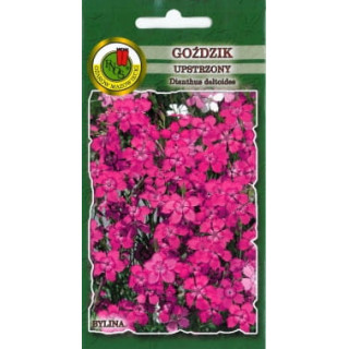 GOŹDZIK UPSTRZONY CZERWONY 0,5g