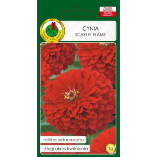 CYNIA DALIOWA SCARLET FLAME CZERWONA 1g