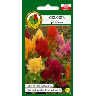 Celozja pierzasta 0,3g niska mieszana