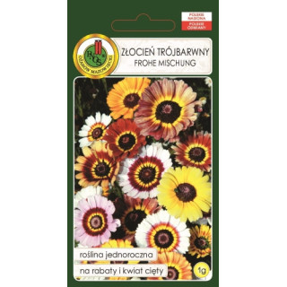 Złocień trójbarwny Crohe Micchung 1g