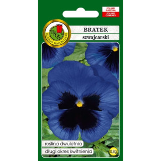 Bratek szwajcarski niebieski