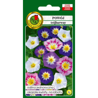 Powój trójbarwny MIX 2g