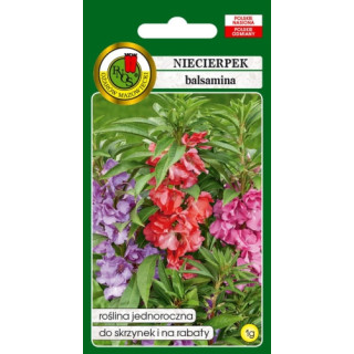 Niecierpek Balsamina 1g MIX