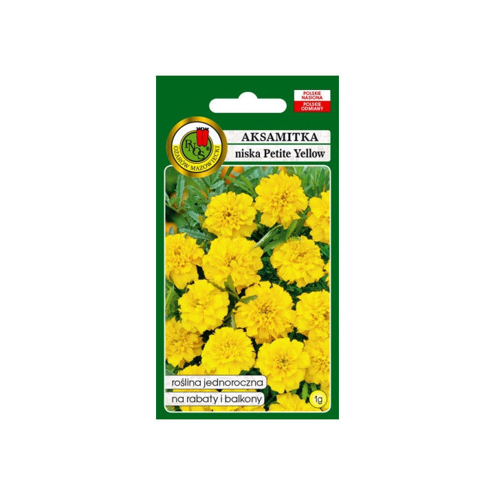 AKSAMITKA PEŁNA NISKA PETITE YELLOW 1g CYTRYNOWOŻÓŁTA