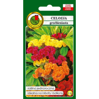 Celozja grzebieniasta 0,3g niska mieszana
