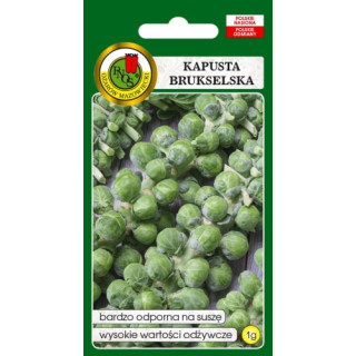 KAPUSTA BRUKSELSKA LONG ISLAND 1g,.