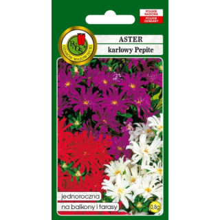 ASTER KARŁOWY PEPITE MIESZANY 0,8g