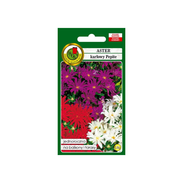 ASTER KARŁOWY PEPITE MIESZANY 0,8g