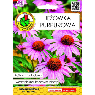 JEŻÓWKA PURPUROWA 1g miododajne szeroka torebka
