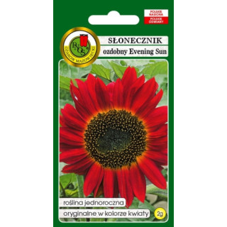 SŁONECZNIK OZDOBNY EVENING SUN CZERWONO-BRĄZOWY 2g