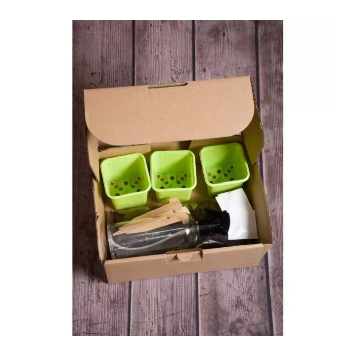 KAKTUSOWY RAJ MIESZANKA 1szt.