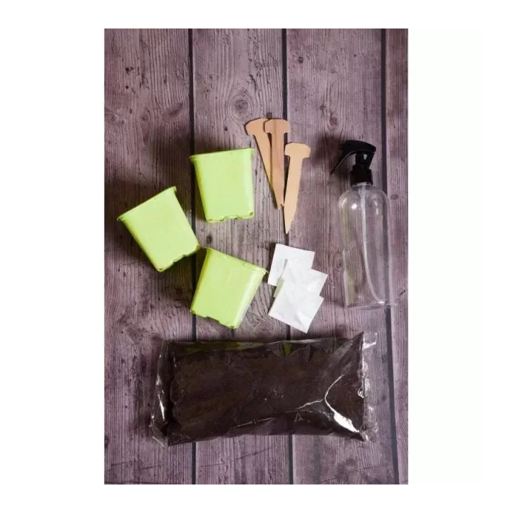 KAKTUSOWY RAJ MIESZANKA 1szt.