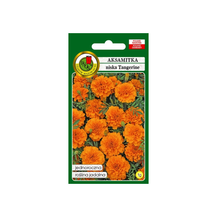 AKSAMITKA PEŁNA NISKA TANGERINE POMARAŃCZOWA 1g