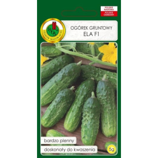 OGÓREK GRUNTOWY KONSERWOWY ELA F1 5g