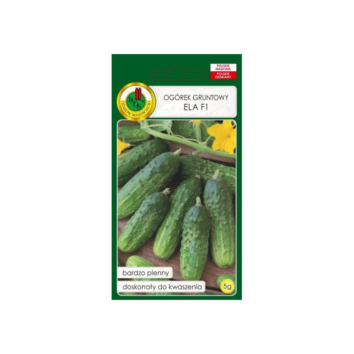 OGÓREK GRUNTOWY KONSERWOWY ELA F1 5g