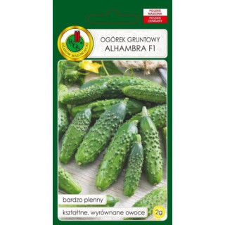 OGÓREK KONSERWOWY ALHAMBRA F1 2g