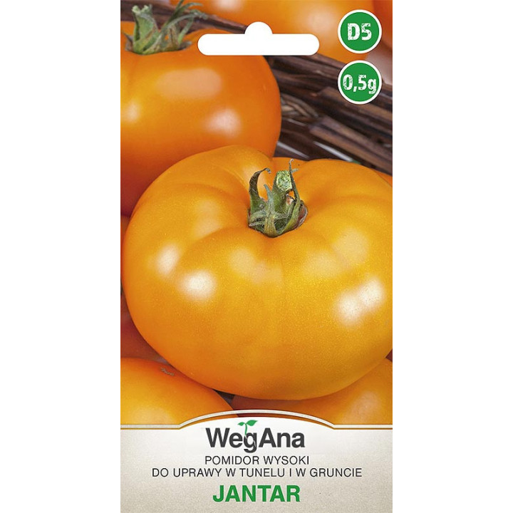 Pomidor - wysoki do tunelu i gruntu Jantar 0,5g