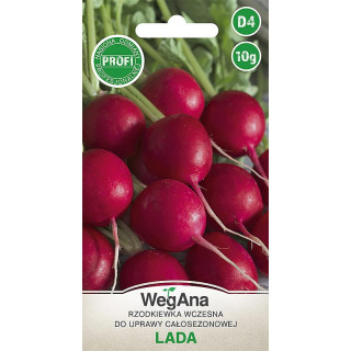 Rzodkiewka - okrągła, czerwona Lada 10g