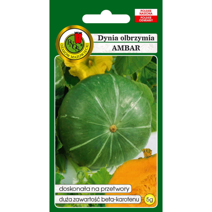 Dynia olbrzymia Ambar 5g