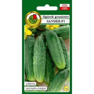 OGÓREK GRUNTOWY SANDER F1 5g