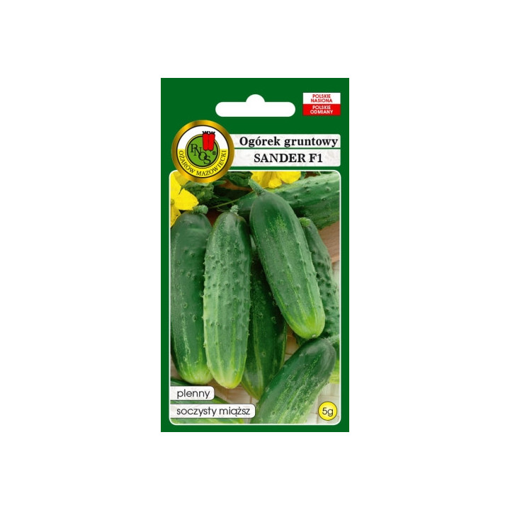 OGÓREK GRUNTOWY SANDER F1 5g