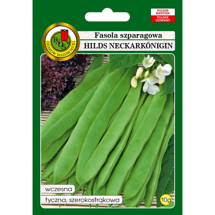 FASOLA SZPARAG.ZIELONA TYCZNA HILDS NECKARKONIGIN 10g,