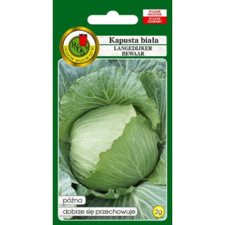 Kapusta biała Langedijker Bewaar
