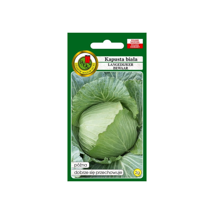 Kapusta biała Langedijker Bewaar