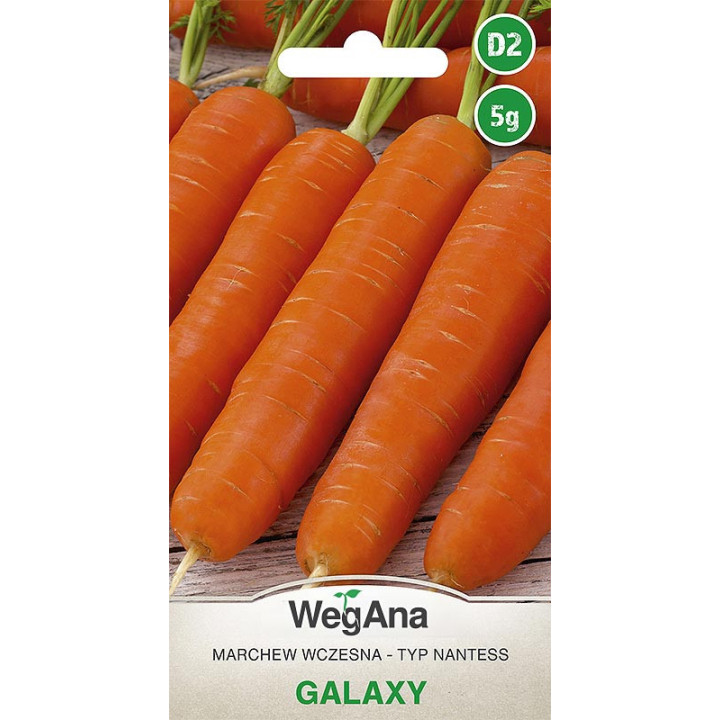 Marchew jadalna - typ Nantess Galaxy 5g
