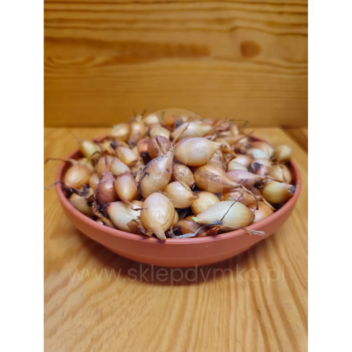 CEBULA DYMKA STURON KAT. II 1kg