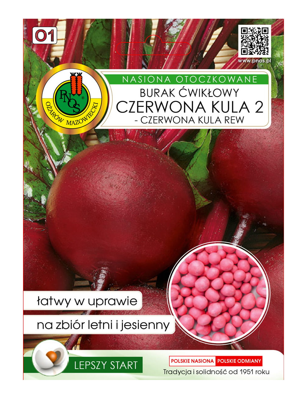 BURAK ĆWIKŁOWY CZERWONA KULA 2 - CZERWONA KULA REW 100z OTOCZKA